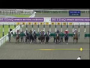 Video preview image for Kempton Park 17:40 - Book Now For Jump Racing 20.10.13 Claiming Stakes