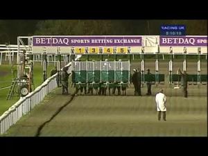 Video preview image for Kempton Park 20:10 - 200 Free Bets At Betdaq Nursery