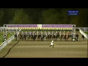 Video preview image for Kempton Park 21:10 - Book Your Christmas Party On 01932 753518 Handicap