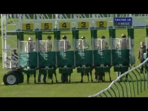 Video preview image for Ayr 13:40 - E.B.F. Stallions Maiden Stakes
