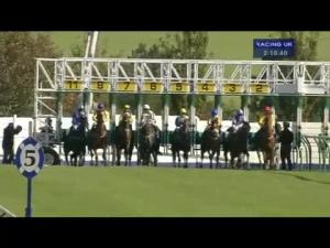 Video preview image for Ayr 14:10 - Racinguk Profits All Returned To Racing Nursery