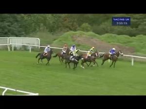Video preview image for Carlisle 15:55 - Park Gate 'Electric Motors R Us' Novices' Chase