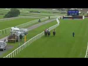 Video preview image for Carlisle 16:30 - Eden Handicap Chase