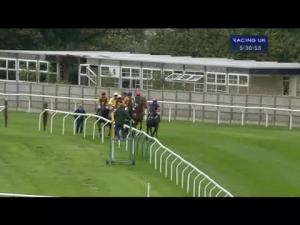Video preview image for Carlisle 17:30 - Weddings At Carlisle Racecourse Standard Open NH Flat Race