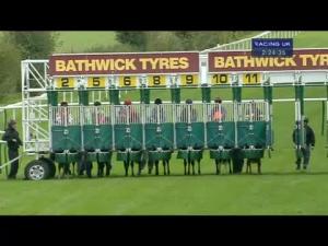 Video preview image for Salisbury 14:20 - Bathwick Tyres E.B.F. Stallions Maiden Fillies' Stakes (Div 1)