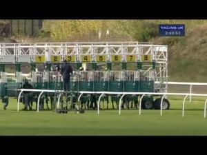 Video preview image for Musselburgh 14:40 - Irish Stallion Farms E.B.F. Maiden Stakes