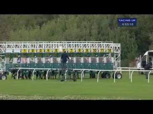 Video preview image for Musselburgh 16:50 - Mcewan Fraser Handicap