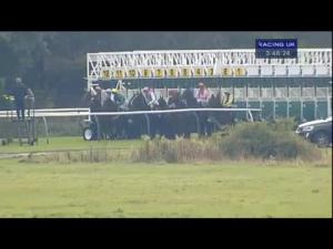 Video preview image for Nottingham 15:45 - Fortiguard Maiden Stakes