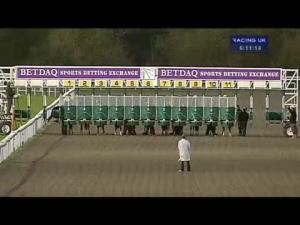 Video preview image for Kempton Park 18:10 - Book Your Christmas Party On 01932 753518 Nursery