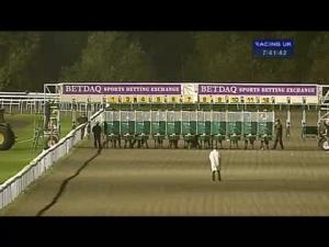 Video preview image for Kempton Park 19:40 - 200 Free Bets At Betdaq Maiden Fillies' Stakes (Div 2)
