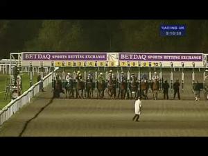 Video preview image for Kempton Park 20:10 - Winners Are Welcome At Betdaq/Choose E.B.F. Fillies' Handicap