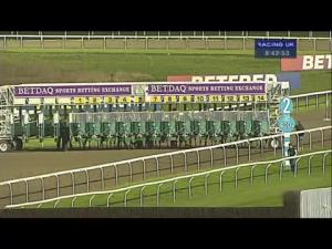 Video preview image for Kempton Park 20:40 - Betdaq 1st UK Race Commission Free Maiden Stakes
