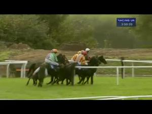 Video preview image for Wincanton 15:50 - Bathwick Tyres Yeovil Handicap Chase