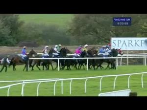 Video preview image for Wincanton 16:20 - Bathwick Tyres Taunton Handicap Hurdle