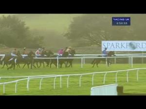 Video preview image for Wincanton 16:50 - Bathwick Tyres Salisbury Maiden Hurdle