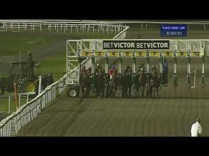Video preview image for Kempton Park 18:50 - BetVictor Back Of The Net Offer Maiden Stakes