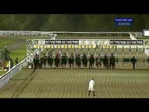 Video preview image for Kempton Park 20:20 - Book Now For The Christmas Festival Handicap