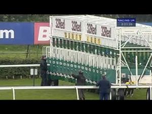 Video preview image for Haydock Park 14:20 - Apollobet Online Casino Maiden Stakes