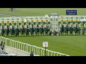 Video preview image for Redcar 15:05 - Sam Hall Memorial Handicap