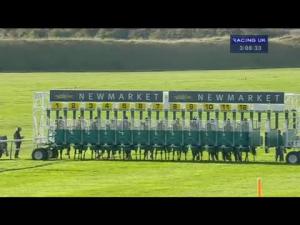 Video preview image for Newmarket 15:05 - Thoroughbred Breeders' Association Maiden Stakes