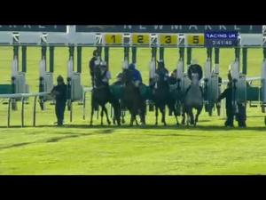 Video preview image for Newmarket 15:40 - Thoroughbred Breeders' Association Houghton Conditions Stakes