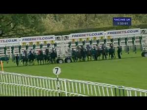 Video preview image for Newbury 13:30 - Free Bets freebets.co.uk Maiden Stakes (Str) (Div 1)