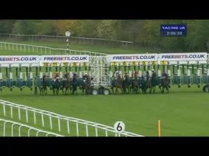 Video preview image for Newbury 14:00 - Join Hot To Trot For 2014 E.B.F. Maiden Stakes