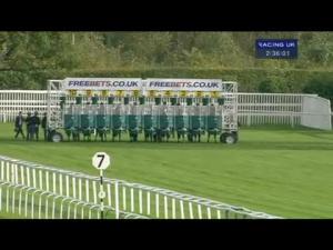 Video preview image for Newbury 14:30 - Free Bets freebets.co.uk Maiden Stakes (Str) (Div 2)
