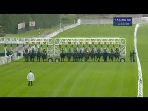 Video preview image for Newbury 15:35 - Smith & Williamson Fillies' Handicap