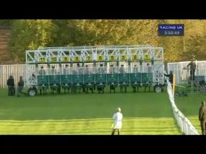 Video preview image for Catterick Bridge 15:50 - Jump Season Next On December 4th Handicap (Div 1)