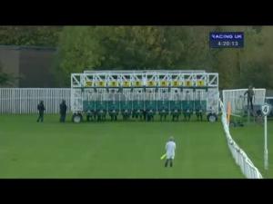 Video preview image for Catterick Bridge 16:20 - Jump Season Next On December 4th Handicap (Div 2)