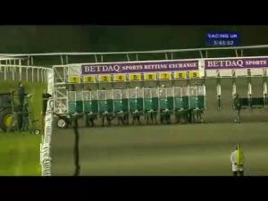 Video preview image for Kempton Park 17:40 - Betdaq - The Sports Betting Exchange Maiden Stakes (Div 1)