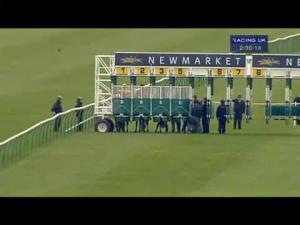 Video preview image for Newmarket 14:30 - Express Cafes Conditions Stakes