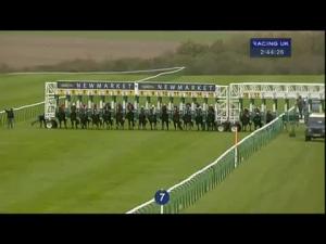 Video preview image for Newmarket 14:20 - Finjaan Standing At Gazeley Stud Handicap