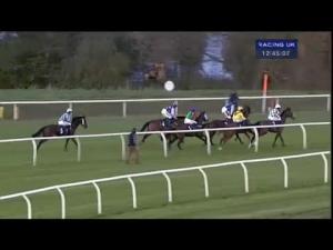 Video preview image for Huntingdon 12:45 - Ers Medical Juvenile Hurdle