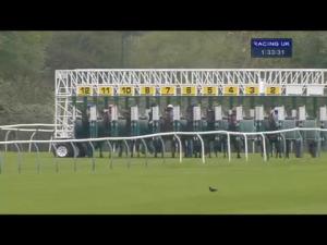 Video preview image for Nottingham 13:30 - Trend Micro Securing The Cloud Maiden Stakes (Div 1)