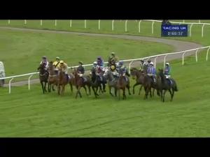 Video preview image for Wincanton 14:40 - Badger Ales Trophy (Listed Handicap Chase)