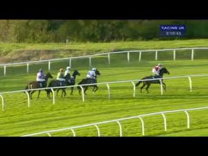 Video preview image for Huntingdon 15:10 - Enter The Jumps For 2 Mares' Handicap Hurdle