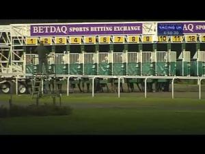 Video preview image for Kempton Park 16:50 - Betdaq - The Sports Betting Exchange Handicap