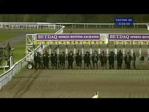 Video preview image for Kempton Park 17:20 - Winners Are Welcome At Betdaq/E.B.F. Stallions Maiden Stakes