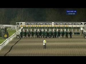 Video preview image for Kempton Park 18:50 - 175 Cash Bonus At Victor's Live Casino Nursery