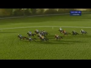 Video preview image for Warwick 13:50 - Thoroughbred Breeders' Association Mares' Novices' Hurdle