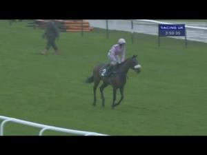 Video preview image for Warwick 15:50 - David Nicholson Memorial Fillies' 'Junior' Standard Open NH Flat Race