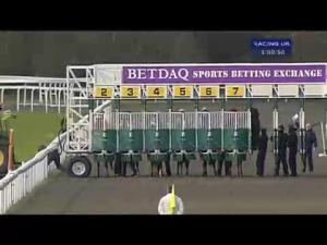 Video preview image for Kempton Park 16:00 - Book Now For Boxing Day Median Auction Maiden Stakes