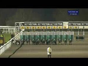 Video preview image for Kempton Park 19:10 - Cme Group Challenge Handicap