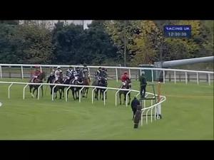 Video preview image for Kempton Park 12:30 - Openwork Foundation British Stallion Studs E.B.F. 'National Hunt' Novices' Hurdle (Qualifier)