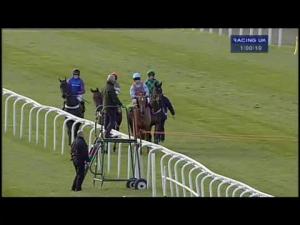 Video preview image for Kempton Park 13:00 - Halcyon Gallery Beginners' Chase