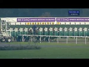 Video preview image for Kempton Park 16:00 - Betdaq - The Sports Betting Exchange Maiden Auction Stakes