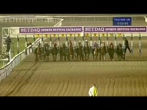 Video preview image for Kempton Park 17:30 - British Stallion Studs E.B.F. Maiden Stakes