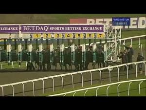 Video preview image for Kempton Park 18:00 - 500 Free Bets At Betdaq Wild Flower Stakes (Listed)